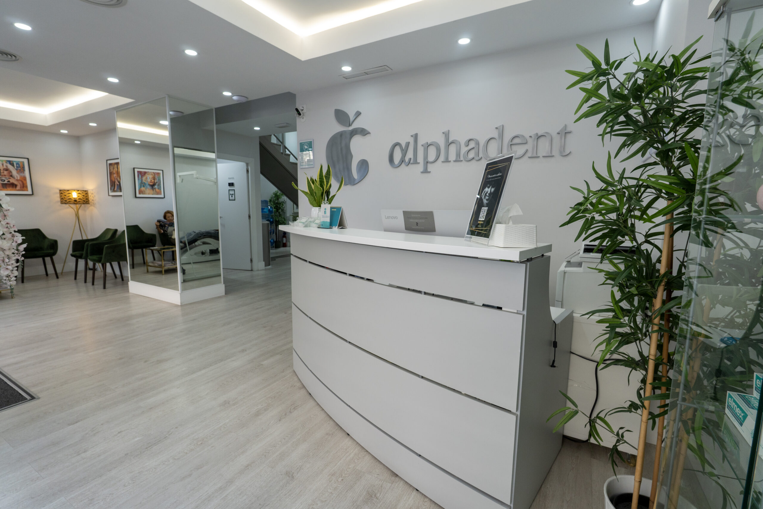 Mostrador de recepción en Alphadent